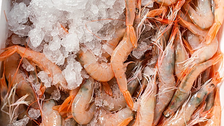 Almijara Casual Bar recibe la Medalla de Oro de Radio Turismo y Gastronomía