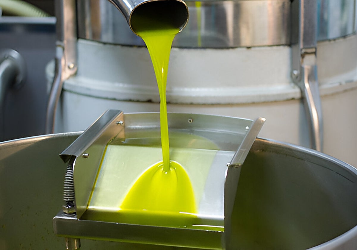 Aceite sin filtrar de una almazara