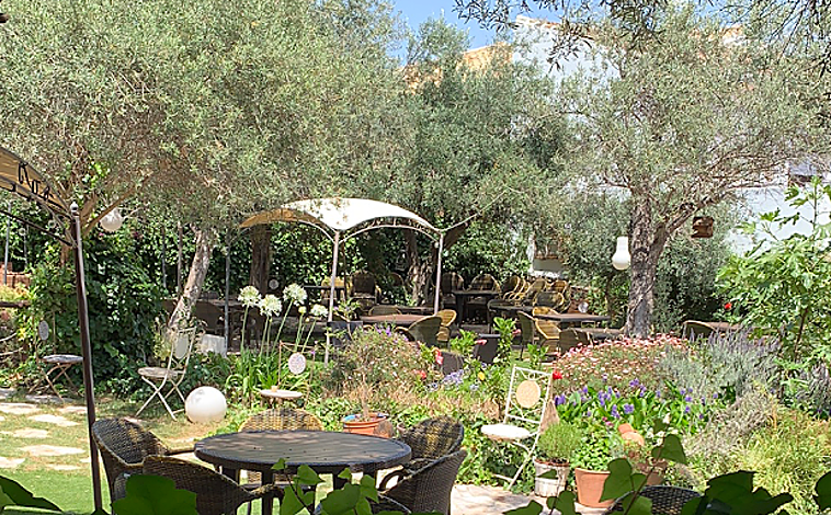 Imagen principal - El restaurante ofrece una agradable terraza rodeada de vegetación