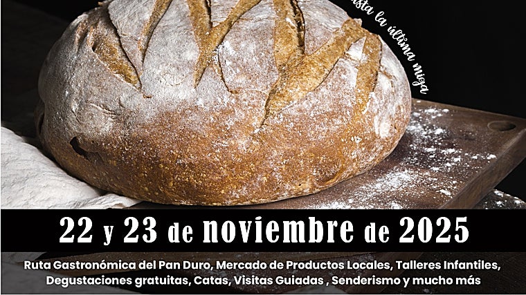 The best gastronomic plans in the province of Malaga to enjoy at the end of November