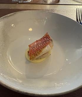 Imagem secundária 2 - rabada e tainha na cor amarelo sevilhano.