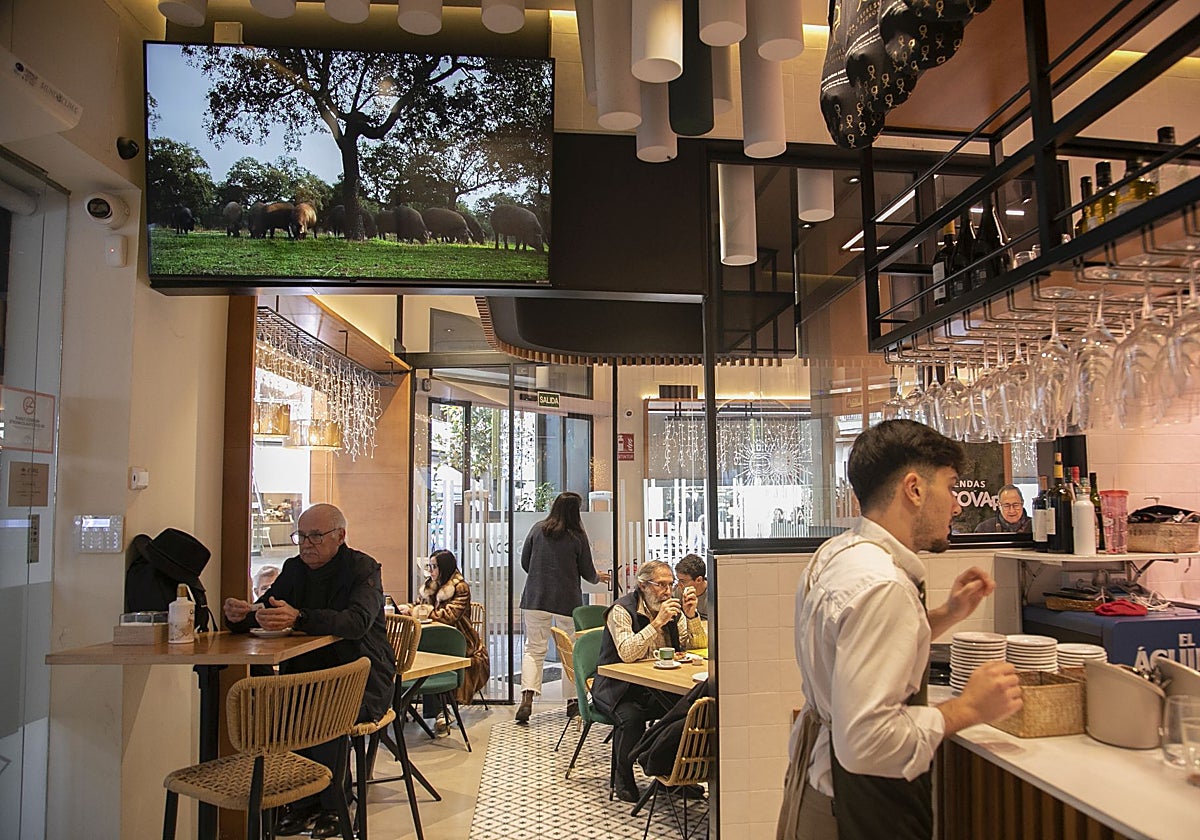 Vista general del interior de D'Tapas Covap, en la calle Cruz Conde de Córdoba