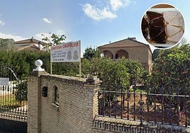 Este pueblo de Sevilla tiene una confitería oculta en un chalet: «Vende las mejores cuñas de toda Sevilla»