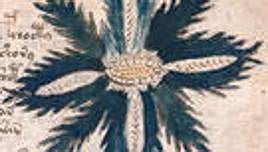 Descubren quién pudo vender el misterioso manuscrito Voynich al emperador Rodolfo II