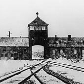 «Si los Aliados hubieran bombardeado las vías férreas de Auschwitz, habrían salvado 15.000 vidas al día»