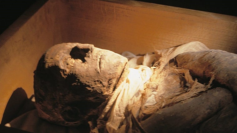 La momia de Ramsés III