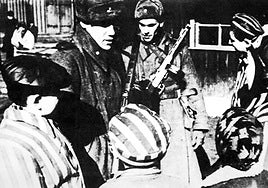 La pareja de nonagenarios que se reencontró 72 años después de sobrevivir a Auschwitz