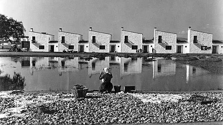 Vegaviana, uno de los pueblos de colonización, en 1958