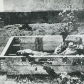 El misterio del último resto del cadáver de Hitler que Putin guarda con celo en Rusia