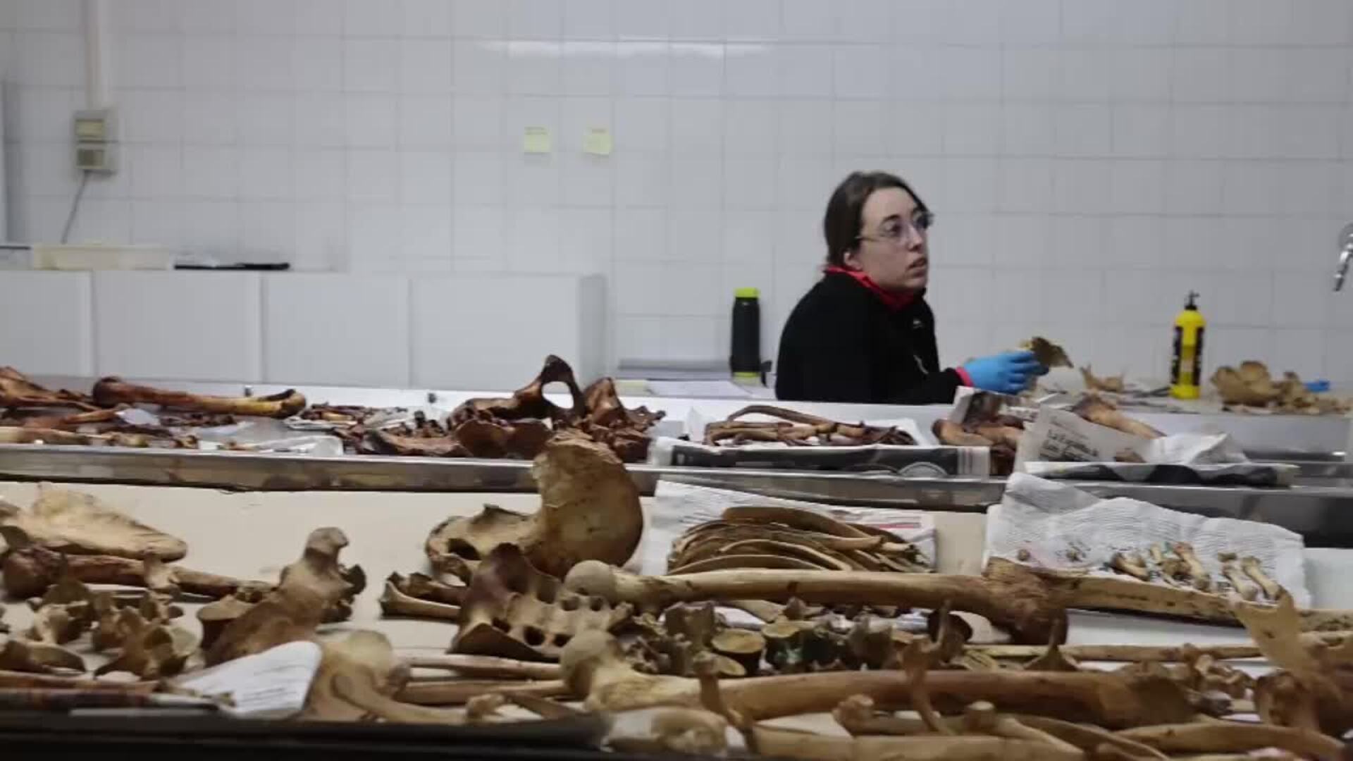 Las exhumaciones pendientes en fosas comunes: desenterrar la memoria para sanar el dolor