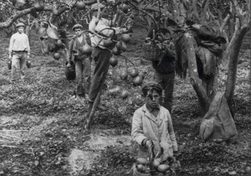 El oscuro origen de la Cosa Nostra: el niño de barrio que forjó el imperio de la mafia