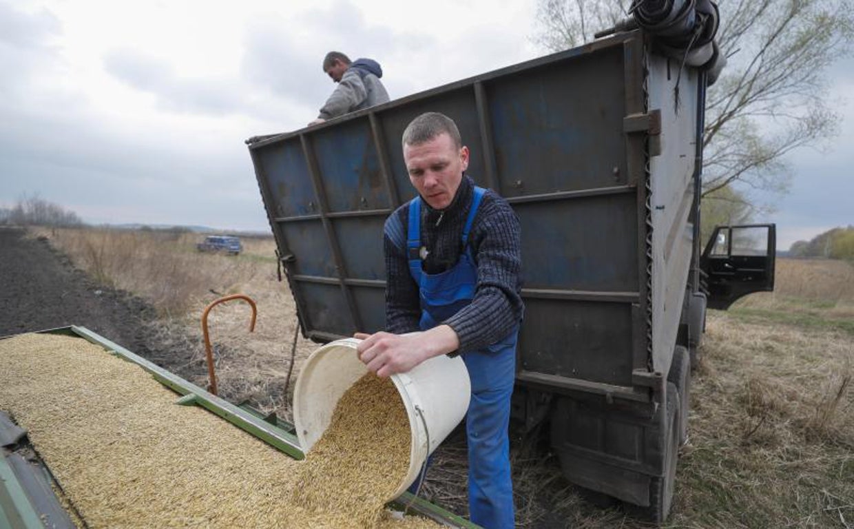 Un agricultor vierte un cubo de avena en un campo a las afueras de Kiev