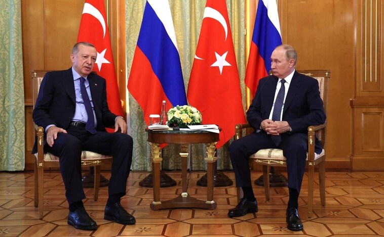 Putin agradece a Erdogan su papel de mediador en el envío de buques con cereales desde Ucrania