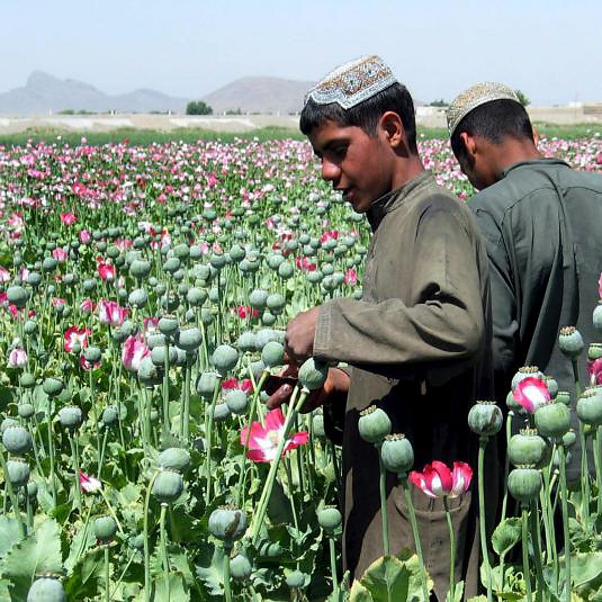 La «cárcel» de desintoxicación de Kabul