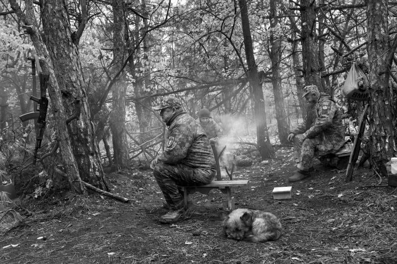 Un grupo de soldados preparan el almuerzo refugiados entre árboles
