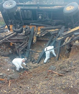 Imagen secundaria 2 - Arriba, policías y forenses recorren los campos del entorno de Przewodow. En las dos imágenes de abajo, el lugar donde cayó el misil