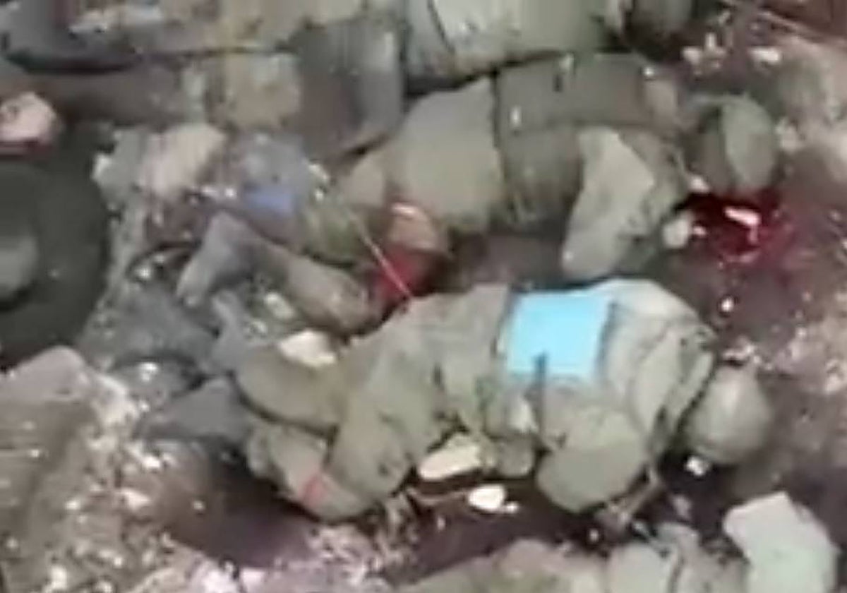 Fotograma de la grabación en la supuestamente se ven a soldados rusos siendo disparados por las tropas ucranianas después de rendirse