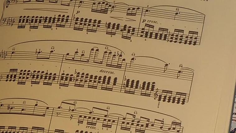 ¿Qué enfermó a Beethoven? El ADN de su pelo ofrece pistas