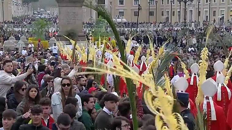 El papa Francisco preside la misa del Domingo de Ramos en la Plaza de San Pedro