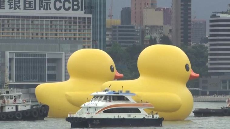 Los gigantes patos hinchables de Hofman vuelven a la bahía de Hong Kong