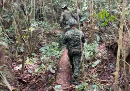 Hallan huellas de un perro policía «muy cerca» de las de los niños desaparecidos en la selva de Colombia