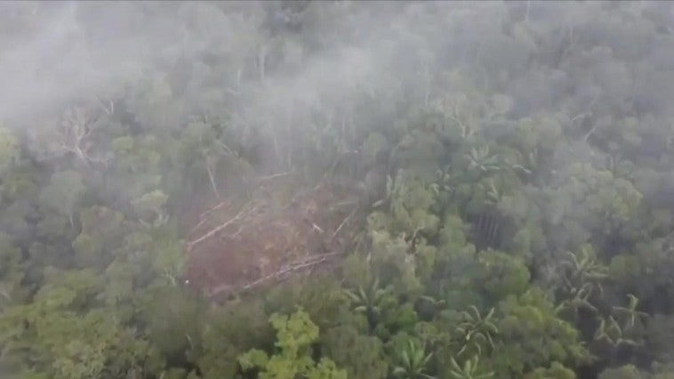 El milagroso rescate de los cuatro hermanos en la selva colombiana