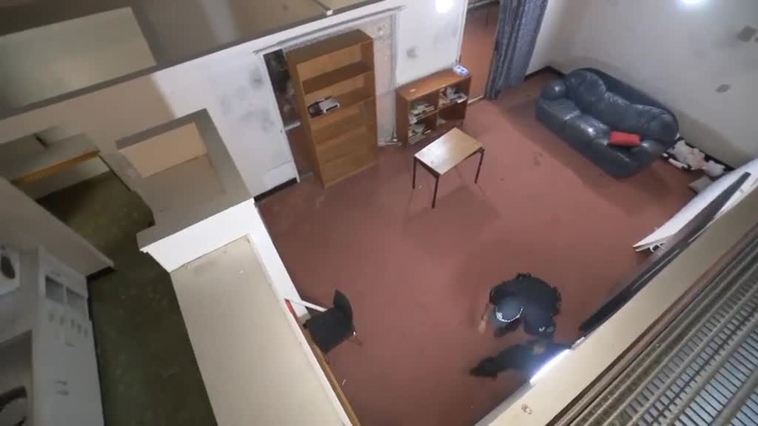 La unidad canina, el orgullo de la Policía de Australia