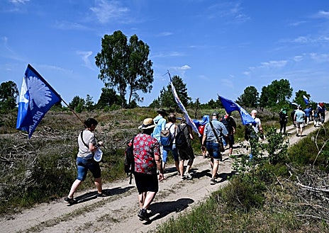 Imagen secundaria 1 - Decenas de personas han acudido a ver las maniobras cerca de Kyritz, Brandeburgo, Alemania. Arriba, un F/A 18 Hornet. A la derecha, un F-35
