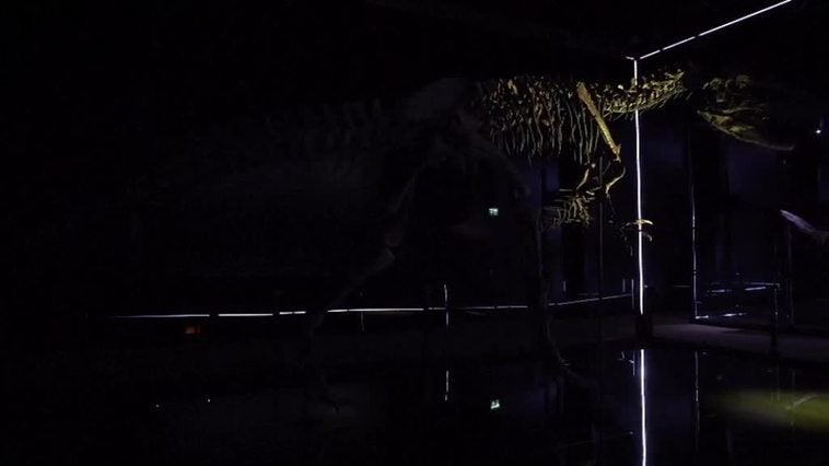 Un Allosaurus de nueve metros de largo saluda a los visitantes en Dinamarca