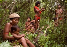 Un niño muerto y cinco personas heridas tras un ataque contra una aldea indígena yanomami en Brasil