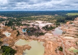 Indígenas de Bolivia alertan sobre la explotación de oro, donde se camuflan empresas chinas