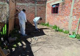 Maniatados, amordazados y acuchillados: la desaparición de cinco jóvenes que ha conmocionado México