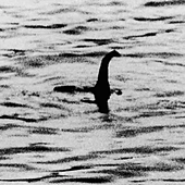 ¿Existe el monstruo del lago Ness? Cientos de personas se reúnen para una búsqueda sin precedentes