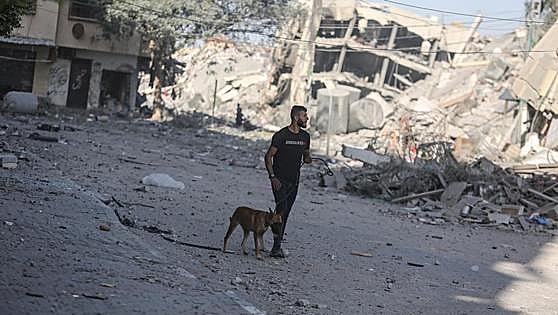 Guerra Israel - Hamás, en directo: se reabre el paso de Rafah: un segundo convoy con 17 camiones entrará en Gaza