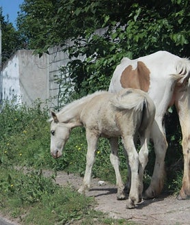 Imagen secundaria 2 - Arriba, María Rosa Díaz charla con una vecina. Abajo, calles del barrio