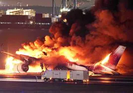Catástrofes ordenadas en Japón: cómo domar al cerebro reptiliano en un avión en llamas