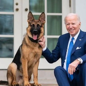 El perro de los Biden muerde a 24 agentes del servicio secreto de EE.UU.