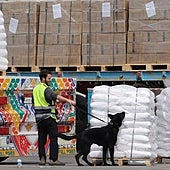 Israel asegura que sus tropas no abrieron fuego contra una entrega de ayuda en la ciudad de Gaza