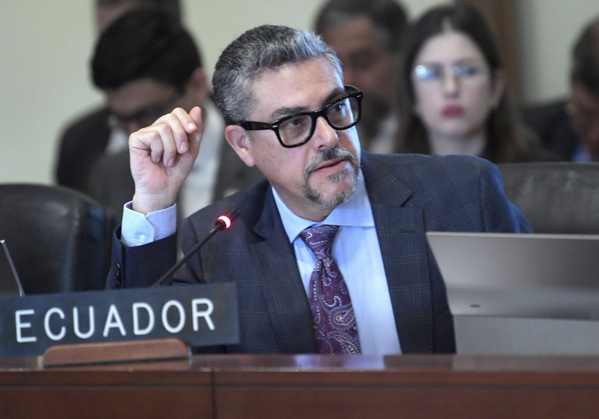 El viceministro de Movilidad Humana de Ecuador, Alejandro Dávalos