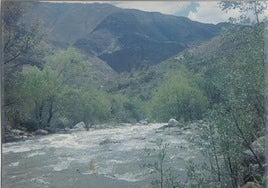 Al menos 23 muertos tras caer a un abismo un autobús en el norte de Perú