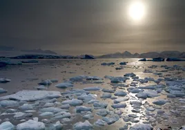 Alerta en la Antártida por la revelación de incursiones petroleras rusas