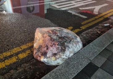 El Gobierno surcoreano suspende totalmente el tratado de paz con su vecino del norte hasta que haya «confianza mutua»