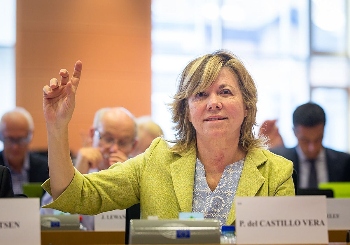Pilar del Castillo, eurodiputada