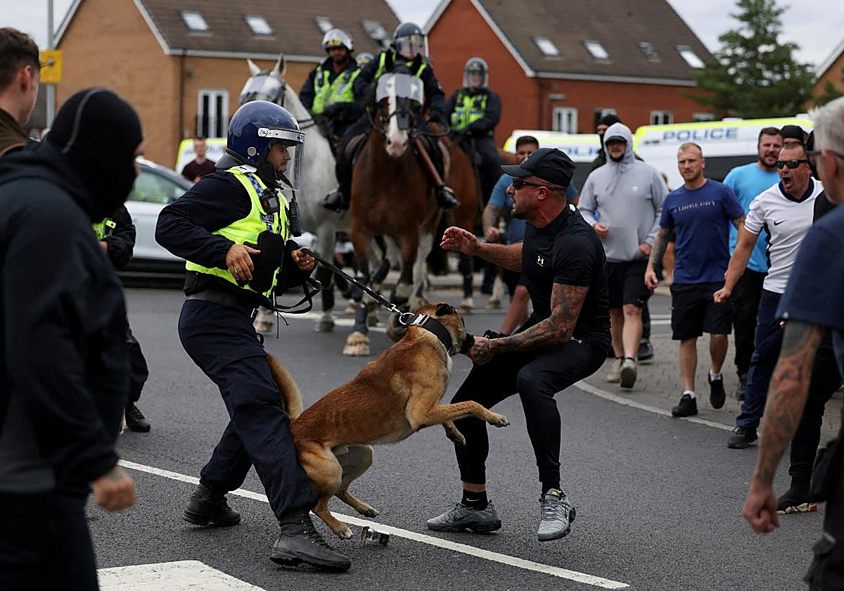 Un perro de la policía ataca a un manifestante en Rotherham, este domingo