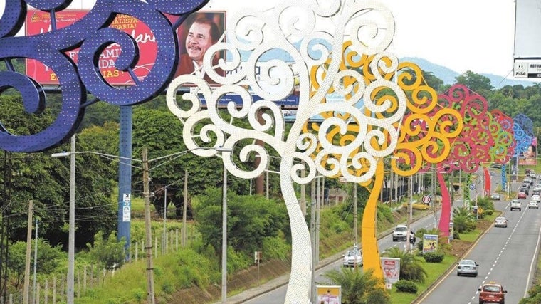 Árboles de la vida plantados en Managua por deseo de Rosario Murillo