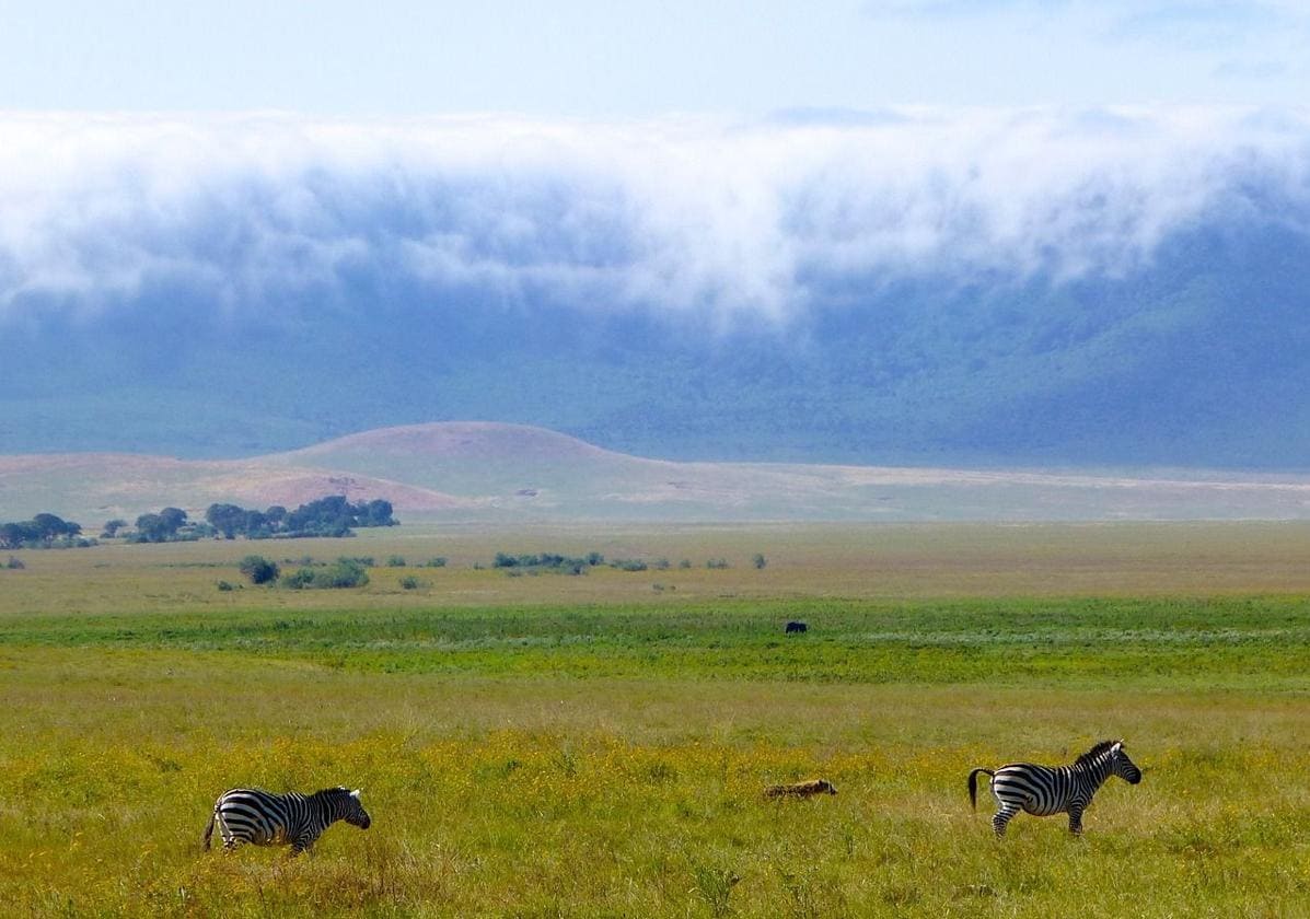 Una imagen del espectacular paraje del Ngorongoro (Tanzania)