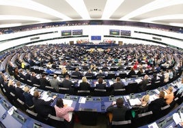 Cinco eurodiputados portugueses, los únicos versos sueltos del Partido de los Socialistas que votaron a favor del reconocimiento de Edmundo González