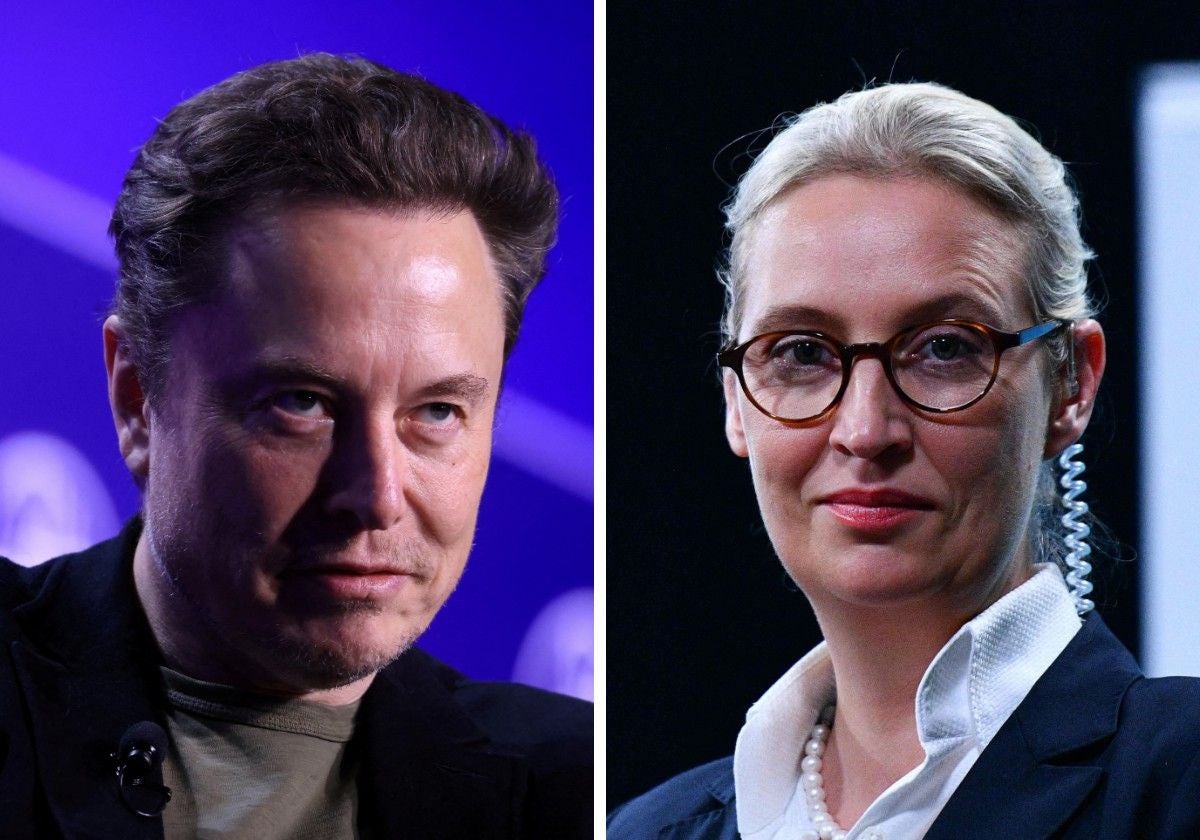 El multimillonario Elon Musk y la líder del partido de extrema derecha alemán AfD, Alice Weidel