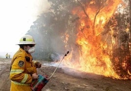 Varios incendios arrasan más de 65.000 hectáreas en Australia