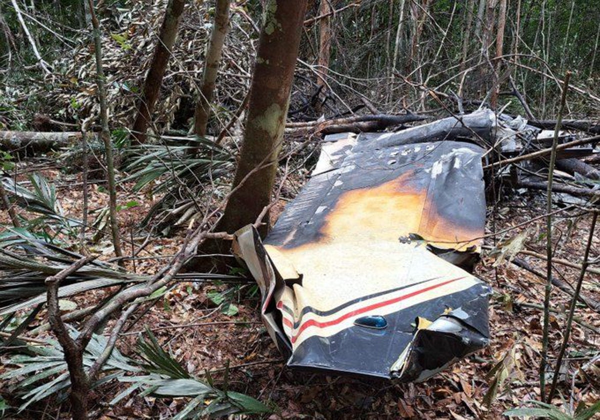 Las autoridades han encontrado los restos de la aeronave en la selva